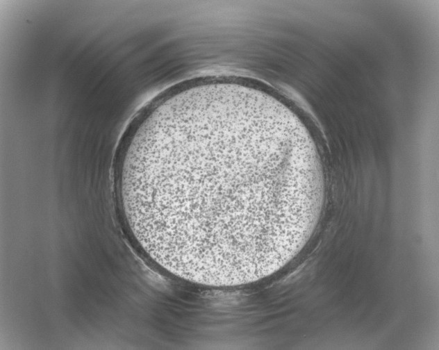 X0000063500831200602172116