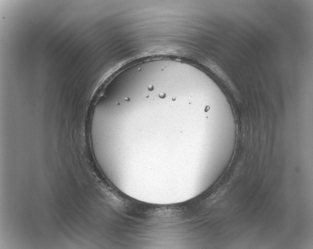 X0000063500834200602172116