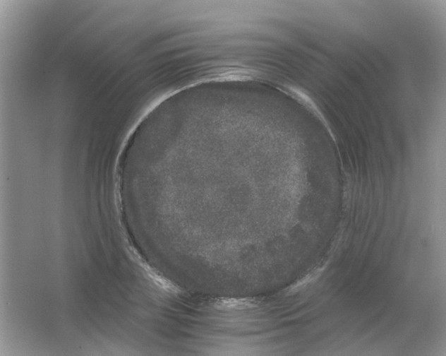 X0000063500835200602172116