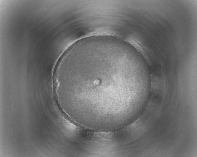 X0000063500836200602172116