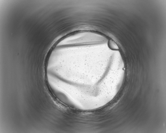 X0000063500837200602172116