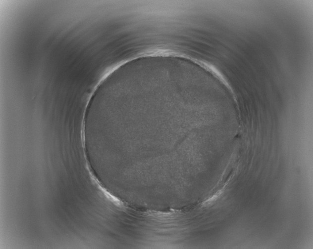 X0000063500839200602172117