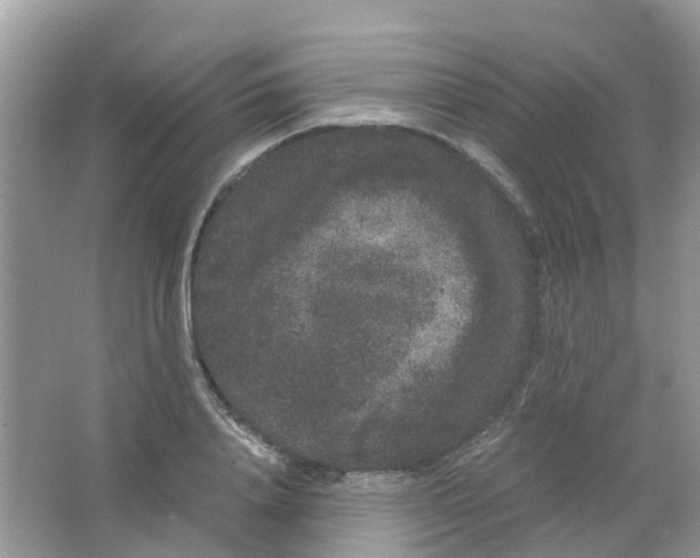 X0000063500840200602172117