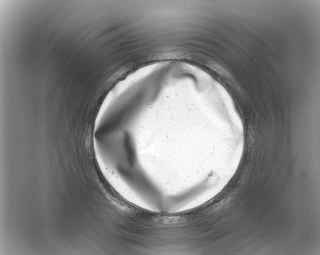 X0000063500841200602172117