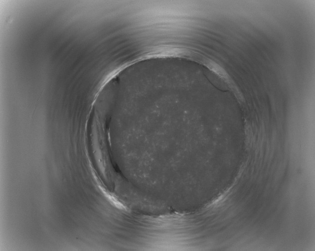 X0000063500842200602172117