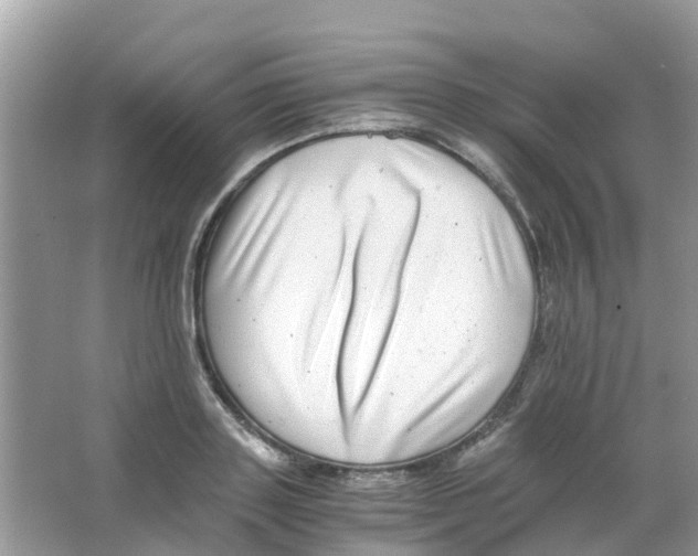 X0000063500843200602172117