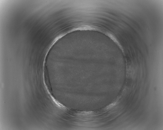 X0000063500845200602172117