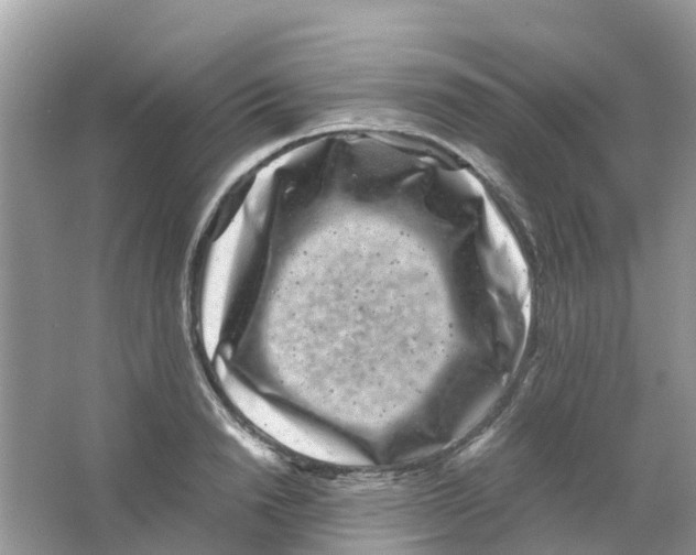 X0000063500846200602172117