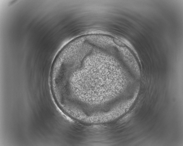 X0000063500847200602172117