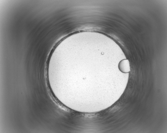 X0000063500848200602172117