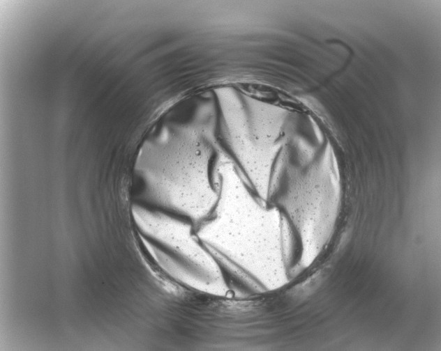 X0000063500849200602172117