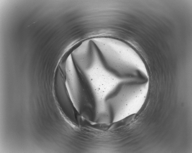 X0000063500850200602172117