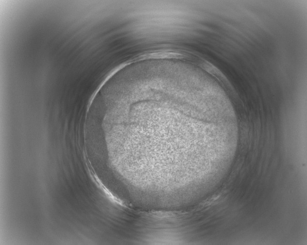 X0000063500852200602172117