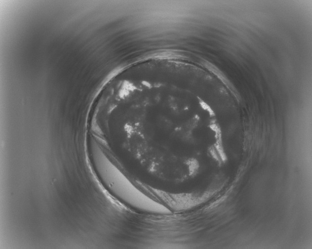 X0000063500853200602172117