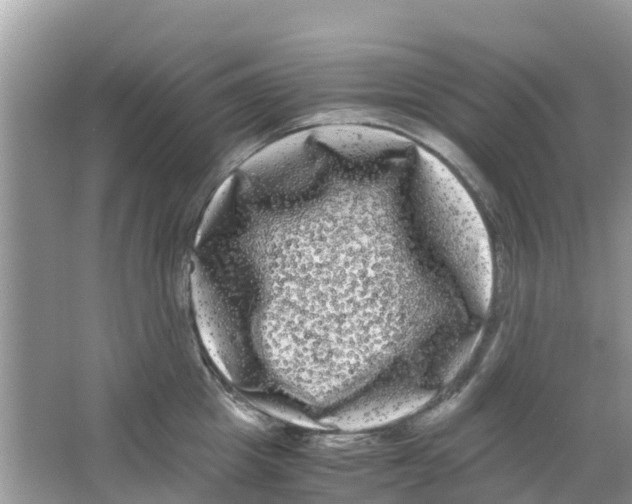 X0000063500857200602172117