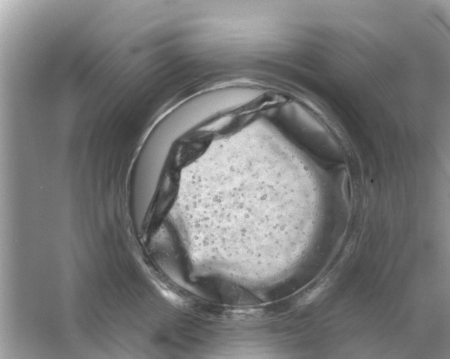 X0000063500858200602172117