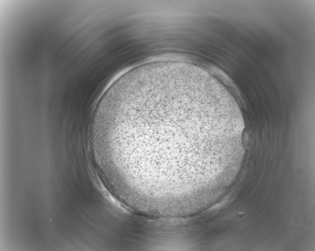 X0000063500860200602172117