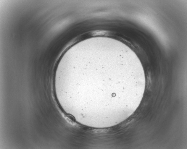 X0000063500861200602172117