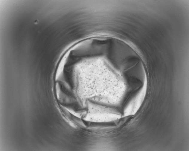 X0000063500862200602172117