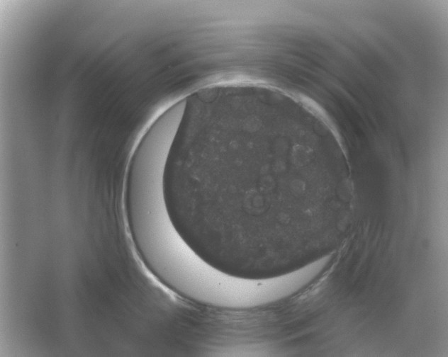 X0000063500863200602172117