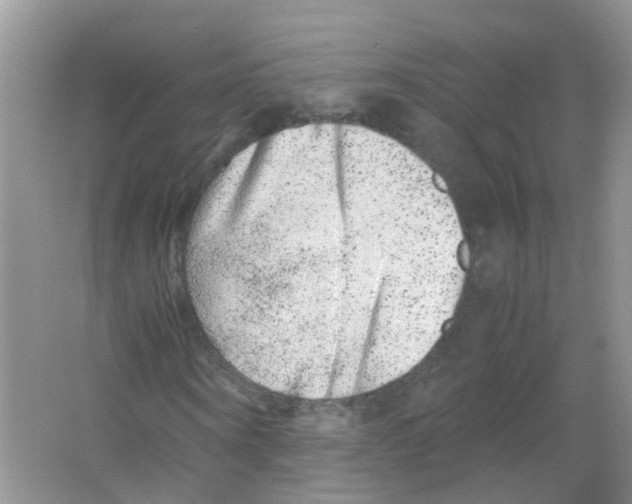 X0000063500866200602172116