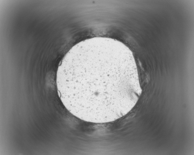 X0000063500867200602172116