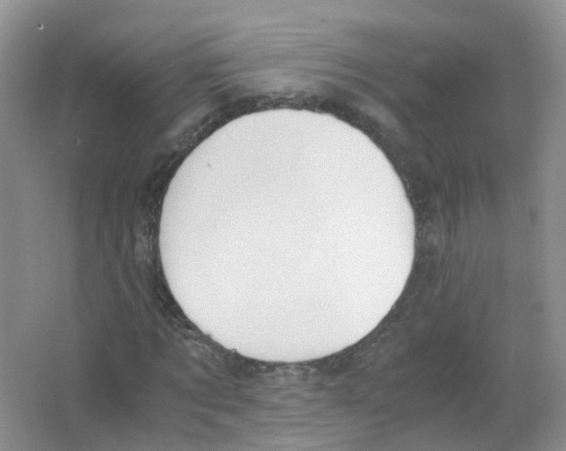 X0000063500869200602172116