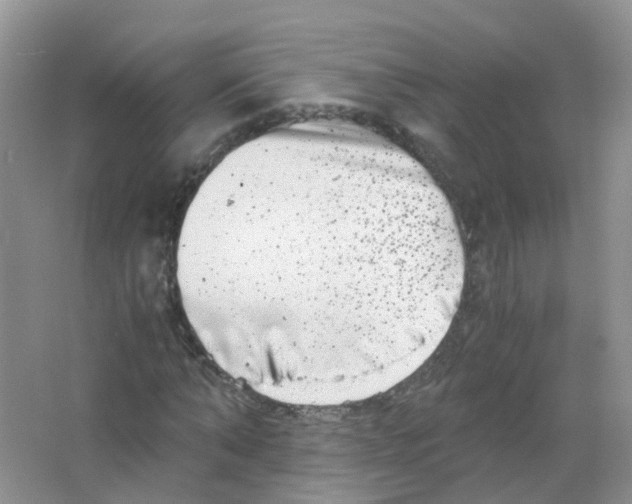 X0000063500870200602172116