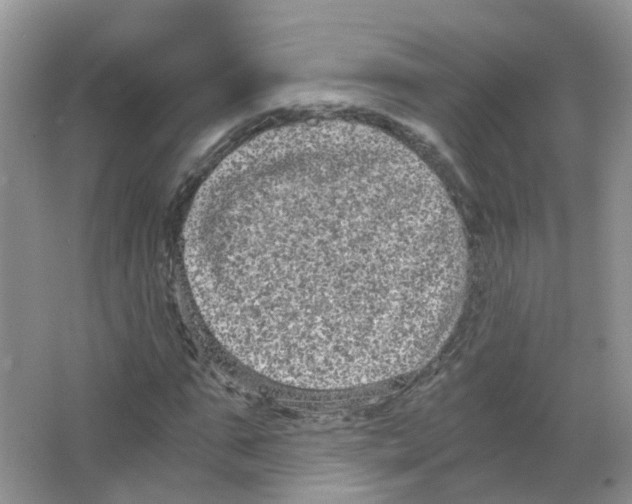 X0000063500871200602172116