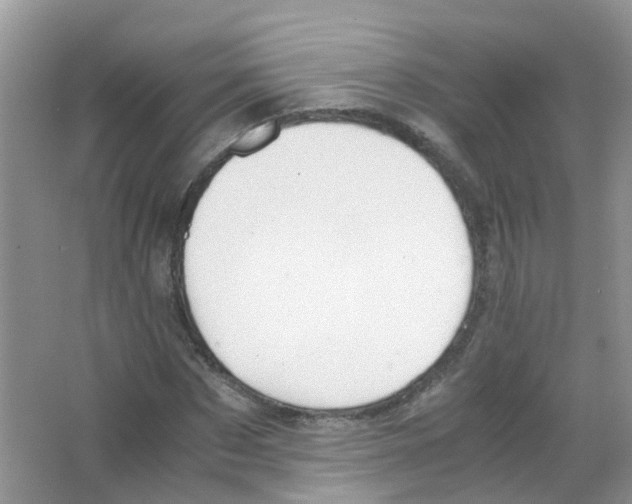 X0000063500873200602172116