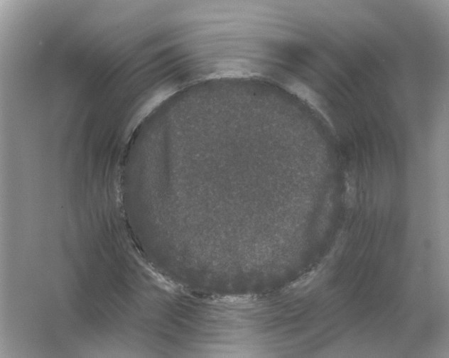 X0000063500874200602172116