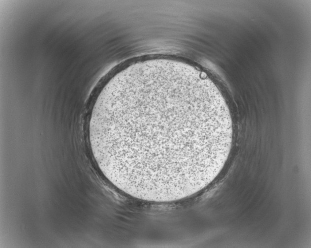 X0000063500875200602172116