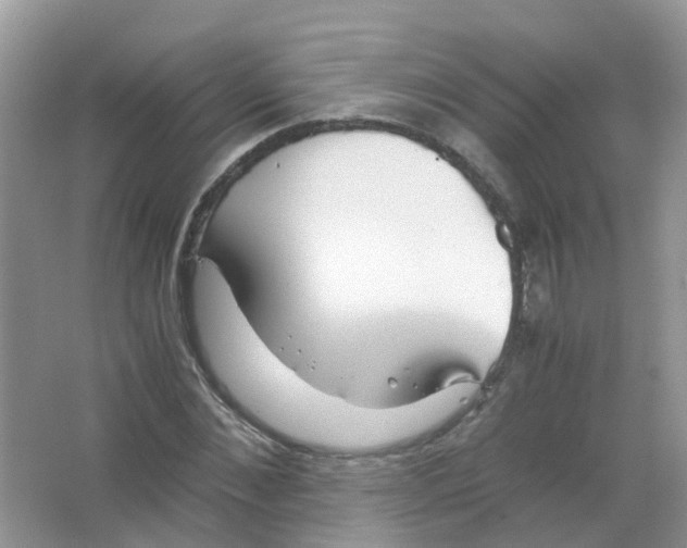 X0000063500876200602172116