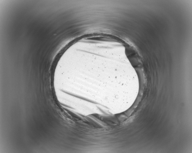 X0000063500877200602172116