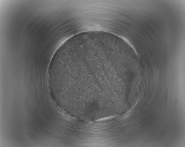 X0000063500879200602172116