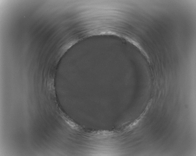 X0000063500881200602172116