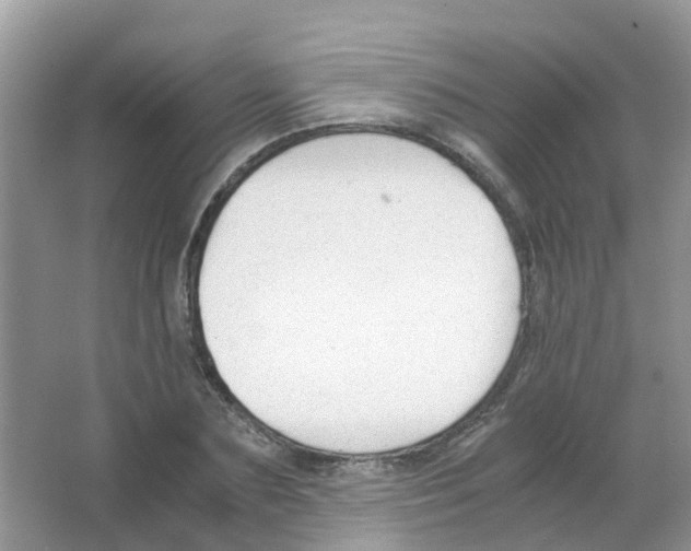 X0000063500883200602172116