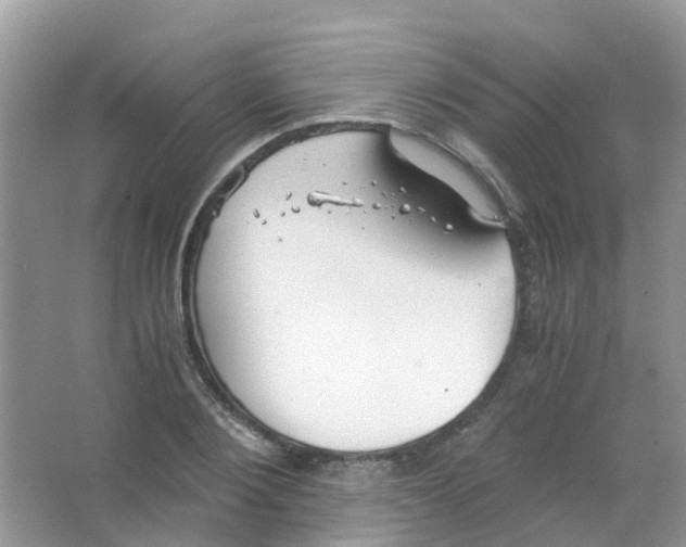 X0000063500884200602172116