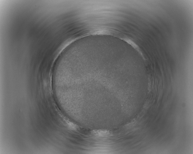 X0000063500886200602172116