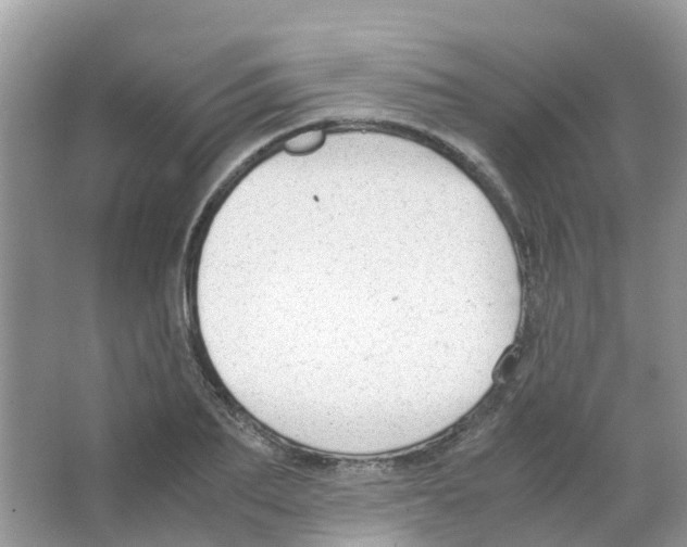 X0000063500887200602172116