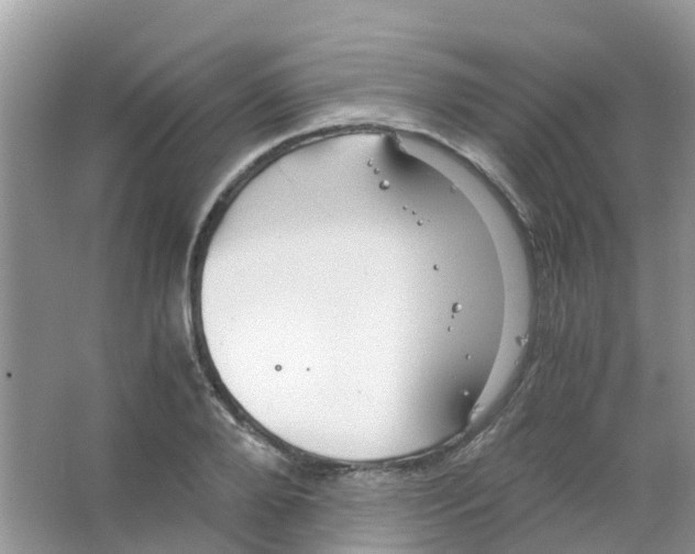 X0000063500888200602172116