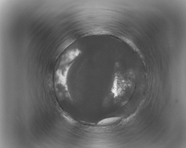 X0000063500889200602172116