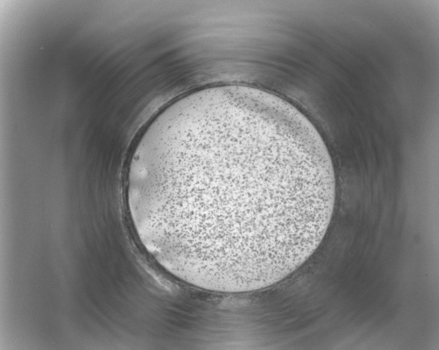 X0000063500890200602172116