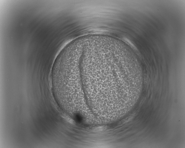 X0000063500891200602172116