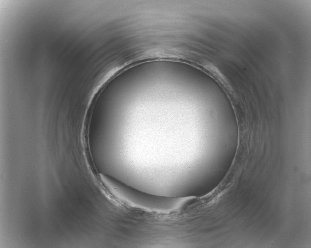 X0000063500893200602172116