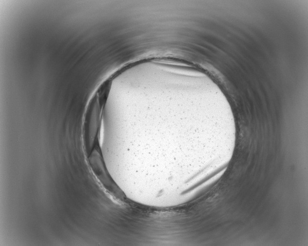 X0000063500894200602172116