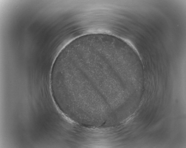 X0000063500895200602172116