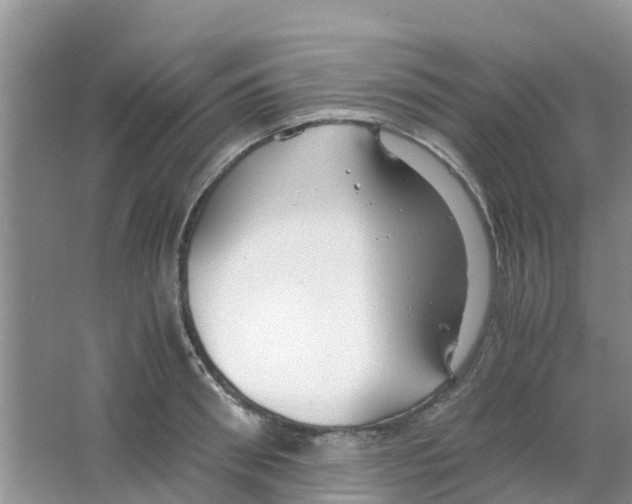 X0000063500898200602172116