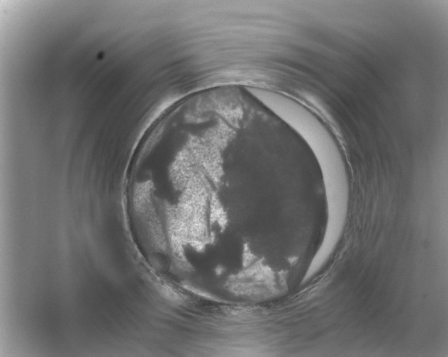 X0000063500899200602172115