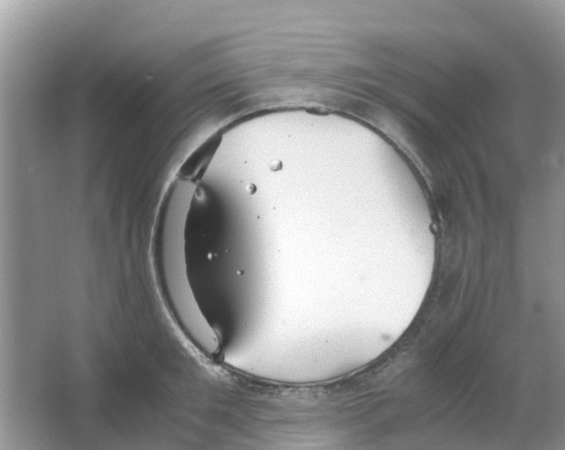 X0000063500901200602172115